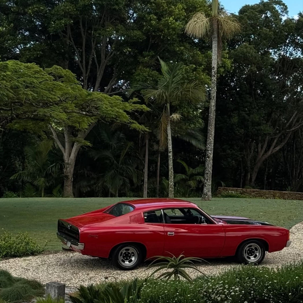 New Merch Drop and More